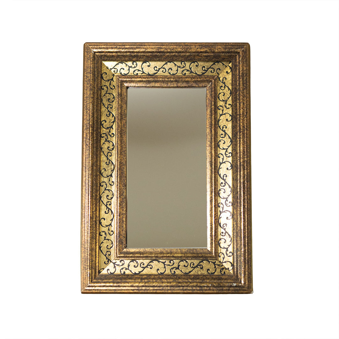 The Gemello Mirror